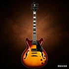 Grote GT335-01 Semi Hollow Body Electric Guitar Maple Neck Rosewood Fretboard New. Price: $266.00.
