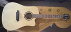 Carlo Robelli Acoustic Electric Guitar Great Condition Prosetup Soft Case. Used. Price: $145.00.
