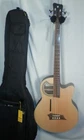 Warwick Rockbass Alien Deluxe Acoustic-electric With Gig Bag New. Price: $1195.00.