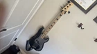 Squier Contemporary Precision Bass 5-STRING Right-hand Solid Body Metallic Blue Used. Price: $425.00.