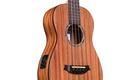 Cordoba Acoustic/electric Mini Bass - New Open Box. Price: $279.95.