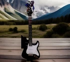 Rockjam Strat Sunburst Electric Guitar RJEG03-SK-SB Used, High String Missing. Price: $80.45.