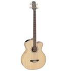 Takamine GB72CE-NAT 4-STRING A/e Bass Guitar Gloss Natural New. Price: $899.99.
