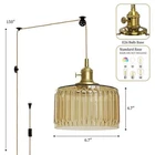 Morauroral Modern 1-LIGHT Mid-century Plug-in Champagne Hanging Pendant New. Price: $42.70.
