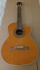 Carlo Robelli CC-3905 Eqx Electric-acoustic Nylon String Guitar Used. Price: $90.00.