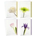 Hallmark Assorted Sympathy Cards (flowers, 12 5 X 7.2 Inches, New. Price: $11.94.