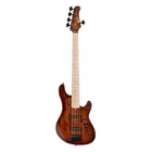 Series String Bass Guitar Antique Brown Burst #GBFUSION5ABB-U New. Price: $877.22.