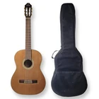Washburn (C80S) Classical Acoustic Guitar Natural W/ Soft Case Used. Price: $249.00.