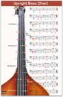 Qmg Upright Bass Fingering Chart With Color-coded Notes, Double New. Price: $27.99.