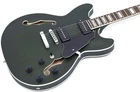 Grote Electric Guitar P90 Pickups Semi-hollow Body Matte Finished (green) New. Price: $185.30.