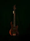 Cort Jeff Berlin Series Rithimic V Nat Walnut Burl Top 5-STRING Bass Guitar New. Price: $990.00.