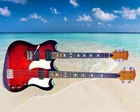 New Professional Nashville Brand Double Neck Guitar Bass Combo Hard Case. Price: $897.71.