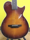 Aria APE-100 Electro-acoustic Guitar Used. Price: $870.74.