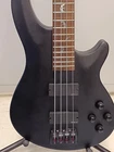 Schecter DAMIEN-4 Used Mahogany Body Maple Neck Rosewood Fingerboard W/soft Case. Price: $539.98.