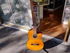 Ibanez GA3ECE Cutaway Classical Body Guitar AEQ2T Preamp W/onboard Tuner Used. Price: $215.01.