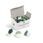 Brands Succulent Push Pins Set, Office Supplies, Three Assorted Styles, 9 C... New. Price: $22.17.