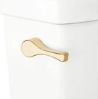 Signature Hardware 478799 Carraway Toilet Tank Lever Brushed Gold Open. Price: $54.11.