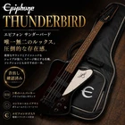 Epiphone Thunderbird Iv Bass With Dedicated Soft Case Used. Price: $531.76.