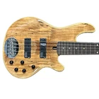 Lakland Skyline 55-01 Deluxe, Spalt / Rosewood New. Price: $1399.00.