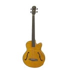 Aria Medium Scale Fretless Acoustic Electric Bass Guitar Stain Brown FEB-F2M/FL New. Price: $579.00.