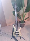 Ibanez Ergodyne Edb 600 Electric Bass Guitar (1998-2005) Used. Price: $300.00.