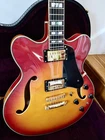 Prestige Musician Pro Semi-hollow Guitar Used. Price: $825.00.