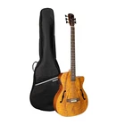 Wishmade 5 String Bass Guitar Hollow Body Acoustic Electric With F Nat New. Price: $405.97.
