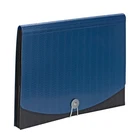 Smead Poly Frequency Expanding File Folders, Flap Cord Letter, Blue/black New. Price: $10.44.