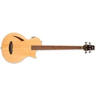 Esp Ltd TL-4 Thinline Natural Acoustic-electric Bass Guitar TL4 Brand New. Price: $699.00.