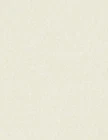 50 Sheets Faux Parchment Paper - 8.5 11" Certificate & Resume (ivory) New. Price: $11.99.